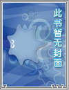 一袭银纱